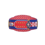 Detroit Pistons WWE Legacy Title Belt