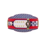 Washington Wizards WWE Legacy Title Belt